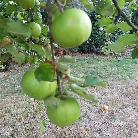 Le Verger D' Adele *