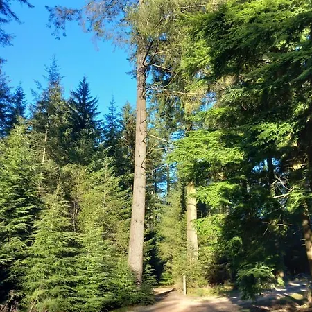 Casa de Férias Le Verger D' Adele Vielsalm