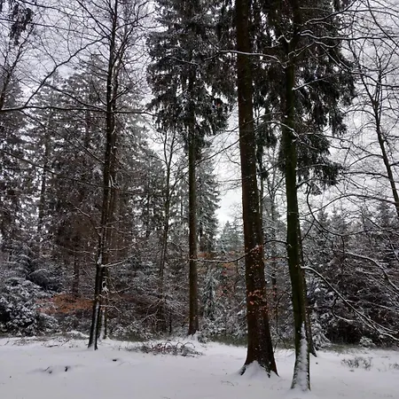 Le Verger D' Adele Vielsalm