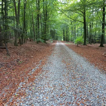 Le Verger D' Adele Vielsalm