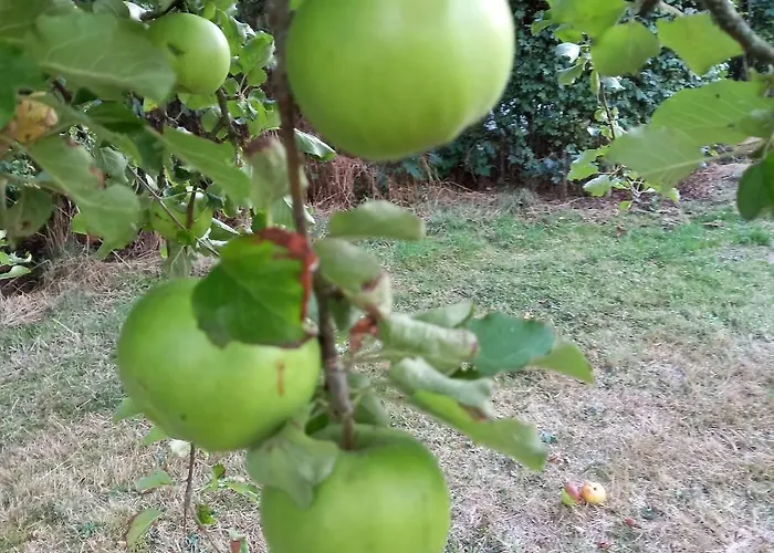 Le Verger D' Adele *