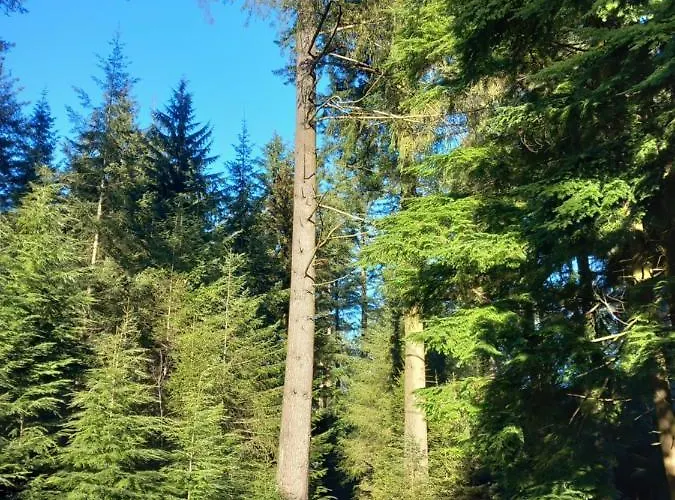 Σπίτι διακοπών Le Verger D' Adele Vielsalm