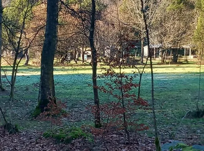 Le Verger D' Adele * Vielsalm